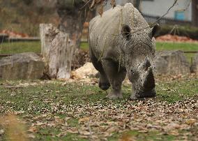 Zoo In Chorzow