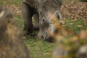 Zoo In Chorzow