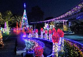 Flower park illumination in western Japan