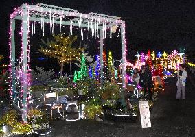 Flower park illumination in western Japan