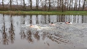 Cold water swimming