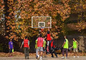 Autumn Season In Kashmir