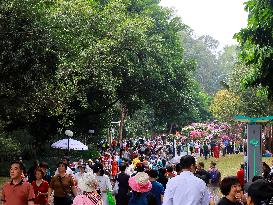 Rhododendron Exhibition in Shenzhen