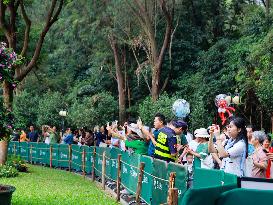 Rhododendron Exhibition in Shenzhen