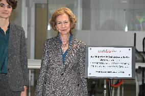 Queen Sofia Visit To San Jose Institute Foundation - Madrid