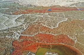 Qingshitan Reservoir Dry Remains Scenery in Guilin