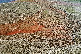 Qingshitan Reservoir Dry Remains Scenery in Guilin