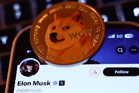 DOGE Photo Illustrations