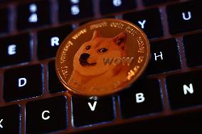 DOGE Photo Illustrations