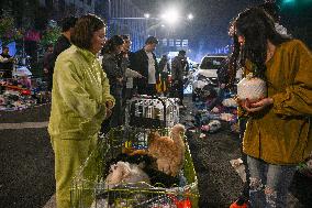 Night Markets Promote Consumption in Nanjing