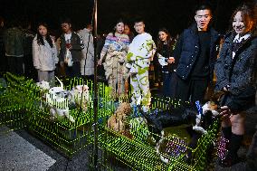 Night Markets Promote Consumption in Nanjing