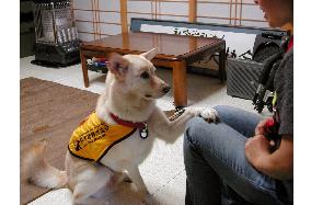 Hearing dog training