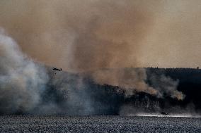 The Jennings Creek Wildfire