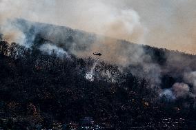 The Jennings Creek Wildfire