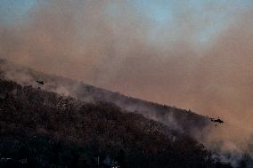 The Jennings Creek Wildfire