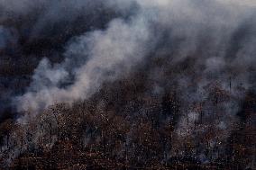 The Jennings Creek Wildfire