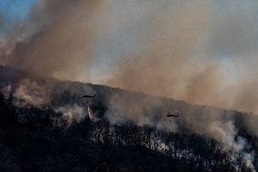 The Jennings Creek Wildfire