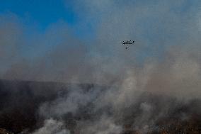 The Jennings Creek Wildfire