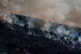 The Jennings Creek Wildfire