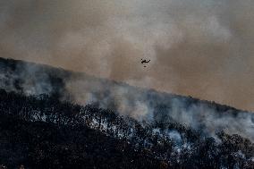 The Jennings Creek Wildfire