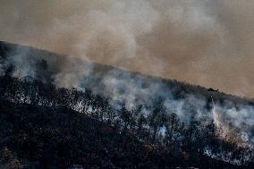 The Jennings Creek Wildfire