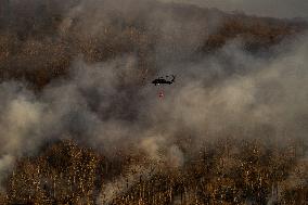 The Jennings Creek Wildfire