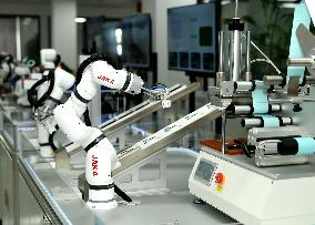 China Robot Intelligent Manufacturing Industry