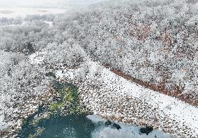 The Rime Scenery in Mongolia - China