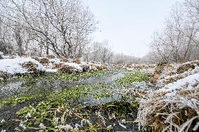 The Rime Scenery in Mongolia - China