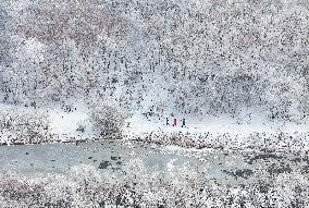 The Rime Scenery in Mongolia - China