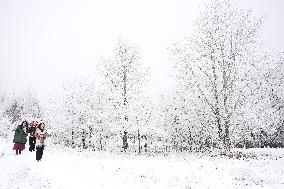 The Rime Scenery in Mongolia - China