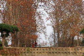 Autumn In Kashmir