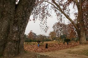 Autumn In Kashmir