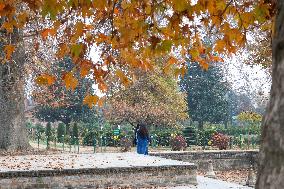 Autumn In Kashmir