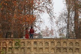 Autumn In Kashmir