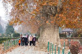 Autumn In Kashmir