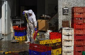 In The Wake Of Floods Disaster - Valencia