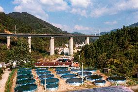 Rural Ecological Fish Farming