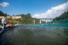 Rural Ecological Fish Farming