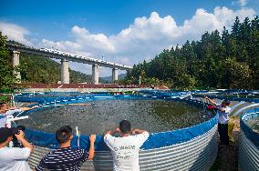 Rural Ecological Fish Farming