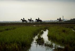 Guardia Civil Continues Search For 16 Missing People - Spain