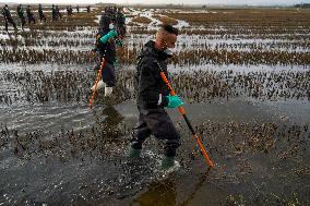 Guardia Civil Continues Search For 16 Missing People - Spain