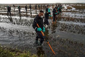 Guardia Civil Continues Search For 16 Missing People - Spain