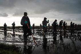 Guardia Civil Continues Search For 16 Missing People - Spain