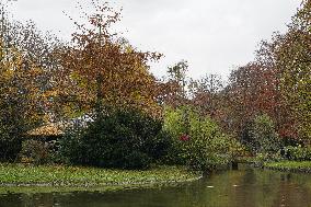 Daily Life In Munich: Autumn In The English Garden