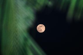 The Final Supermoon Of 2024 - Beaver Moon