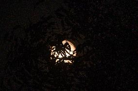 The Final Supermoon Of 2024 - Beaver Moon