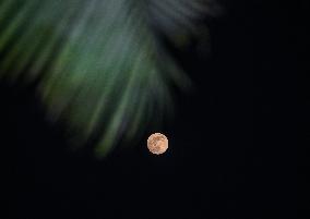 The Final Supermoon Of 2024 - Beaver Moon