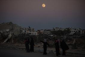 Full Beaver Moon In Gaza, Palestine