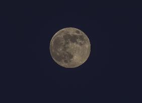 Full Beaver Moon In Gaza, Palestine